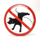 hundar kissar förbjudet