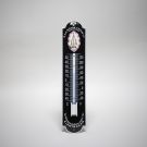 BSA Termometer